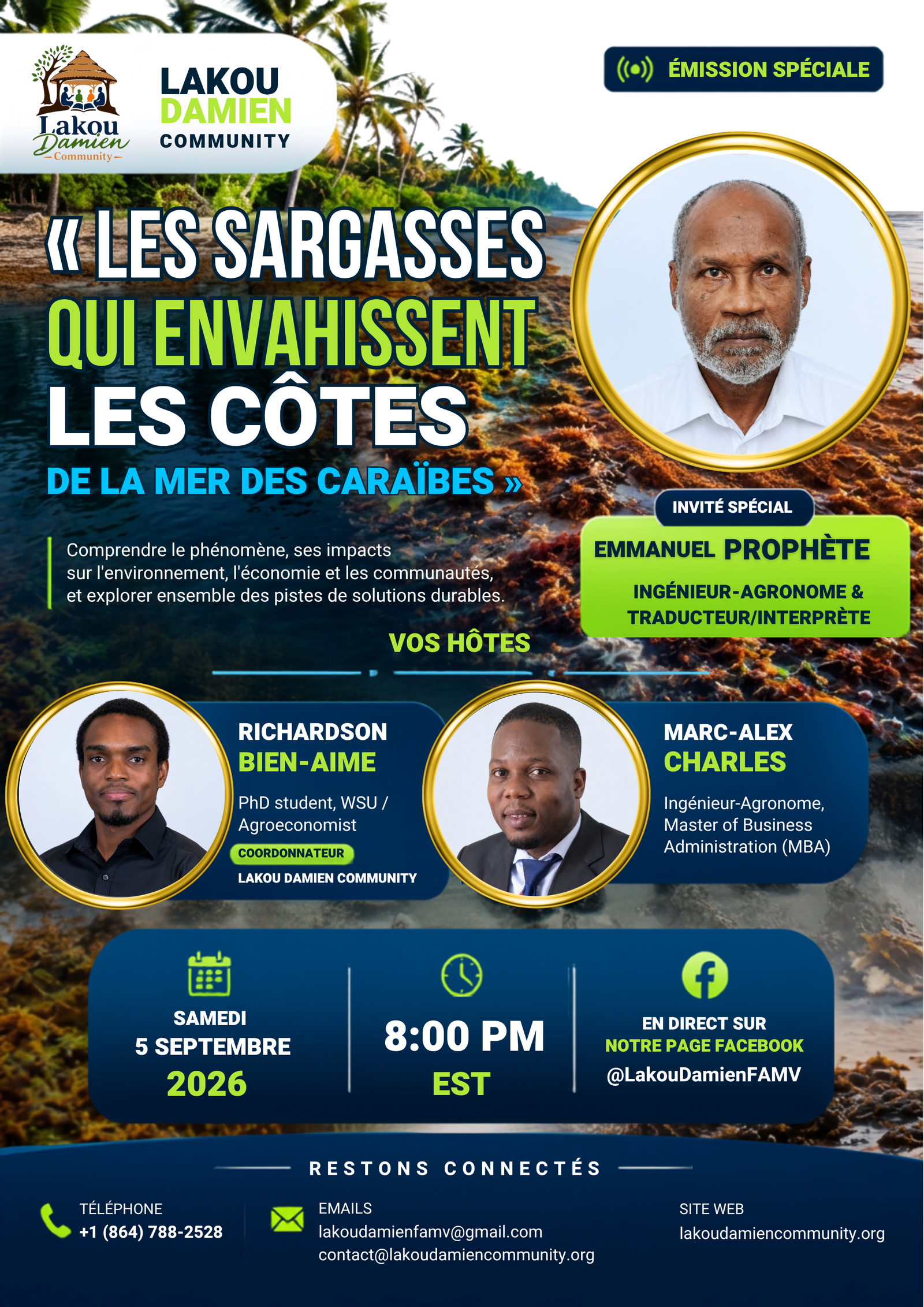 Les sargasses qui envahissent les cotes de la mer des caraibes